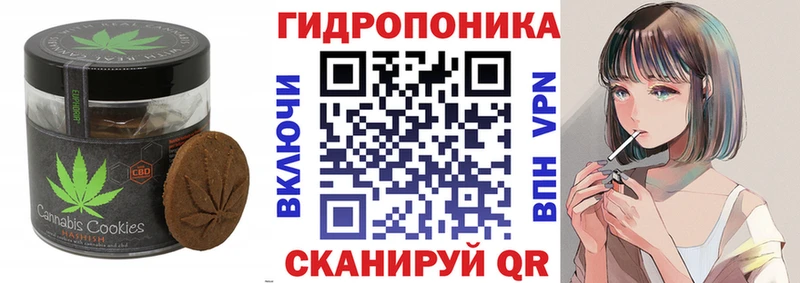 Canna-Cookies марихуана  Тосно 