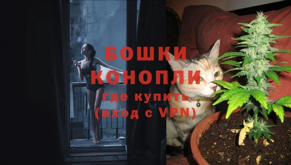 кокс Богданович