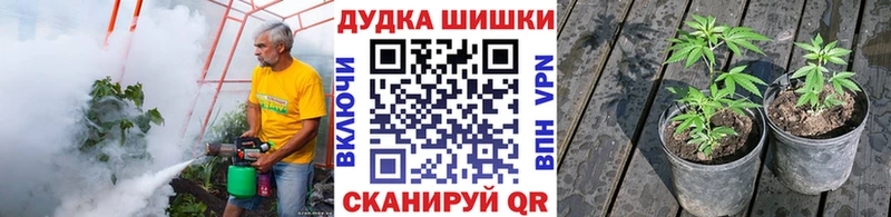 Конопля White Widow  Тосно 